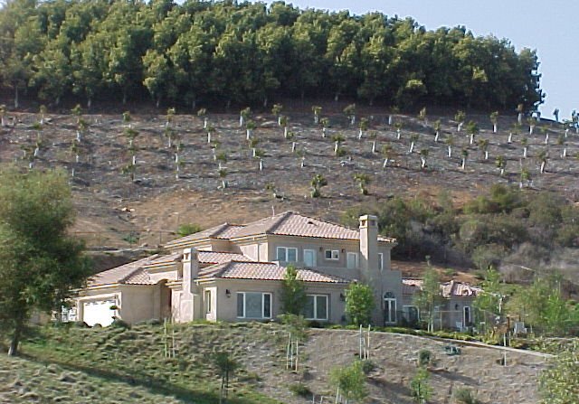 Estate tile roof, Temecula